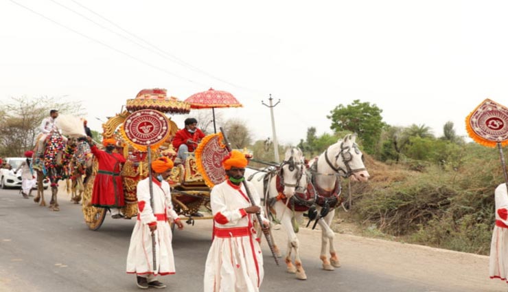 पाली : कोरोनाकाल में दिखी अनोखी बारात, बिना बैंड-बाजे के बैलगाड़ी-ऊंट-घोड़े पर आए 21 बाराती