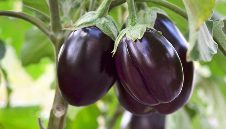 baba ganoush,recipe,healthy recipe