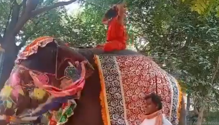 हाथी से गिरे योग गुरु बाबा रामदेव, सोशल मीडिया पर उड़ा मजाक; देखे वीडियो