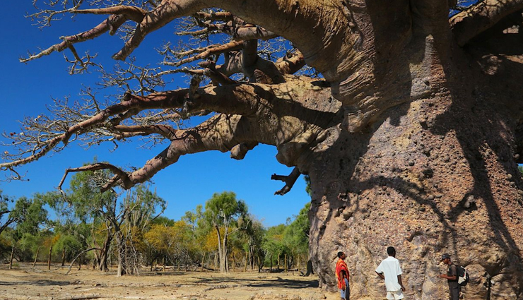 madagascar,travel destinations in madagascar,travel tips,tourism