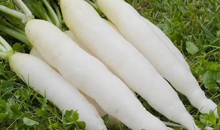 piles,hemorrhoids,home remedies,relief,natural treatment,Health,healthy living,wellness,digestive issues,hemorrhoid relief,holistic healing.