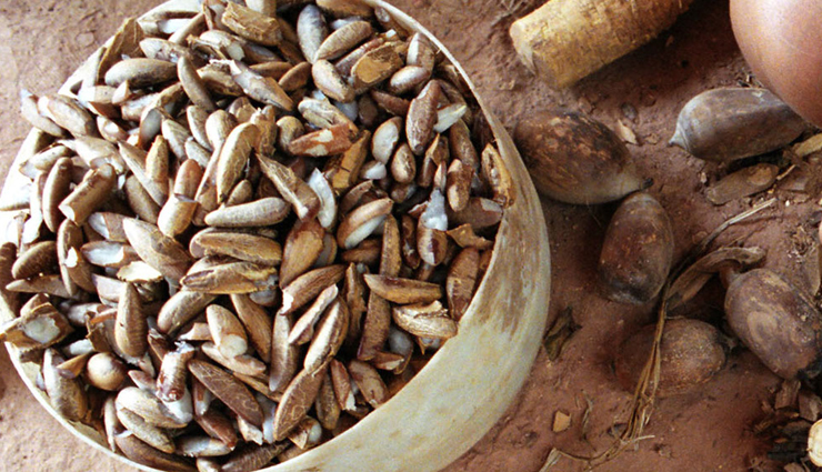 5 Amazing Benefits of Using Babassu Oil for Hair