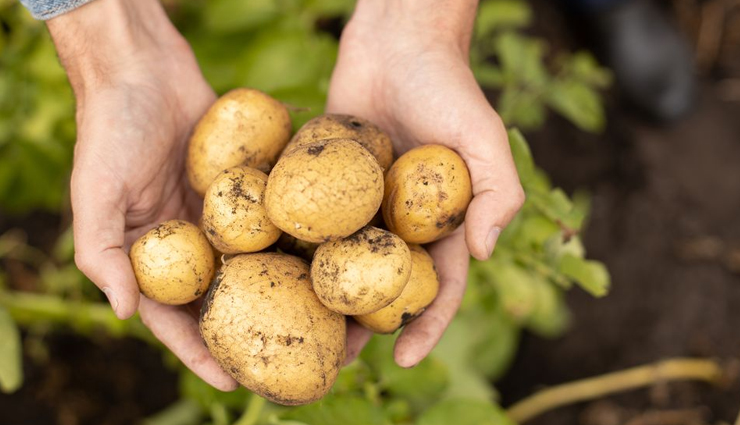 foods to avoid in babies,food that causes constipation in babies,babies health tips,Health tips,fitness tips