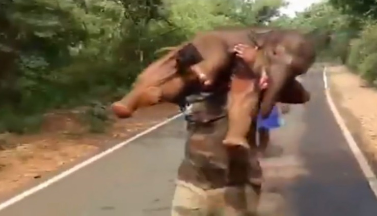 हाथी के बच्चे को कंधे पर लेकर दौड़ा शख्स, वीडियो देख लोग बोले  '...असली बाहुबली' 
