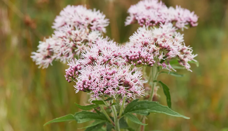 food for baby sleep,healthy sleep,Health tips,fitness tips