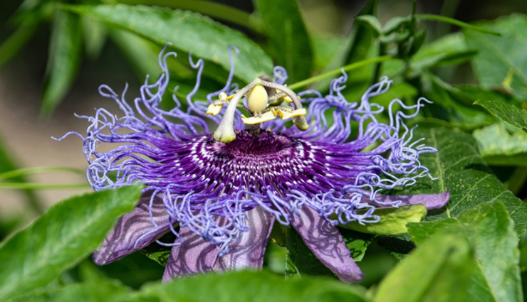 food for baby sleep,healthy sleep,Health tips,fitness tips