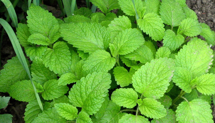 food for baby sleep,healthy sleep,Health tips,fitness tips