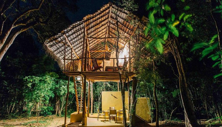 treehouses,amazing treehouse in sri lanka,tree houses in sri lanka,best tree houses in sri lanka,treehouse hotel in sri lanka,treehouses in the south,luxury tree houses in sri lanka,treehouses near me,romantic treehouse near me,travel,sri lanka tourism,holidays in sri lanka,sri lanka travel tips