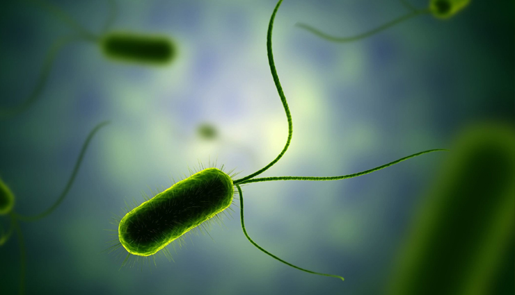 fascinating diseases that you can smell,diseases that you can smell,diabetic ketoacidosis,maple syrup urine disease,Migraine,arsenic poisoning,phenylketonuria,typhoid fever,narcolepsy,bacterial infection,schizophrenia,parkinsons disease,Health,Health tips