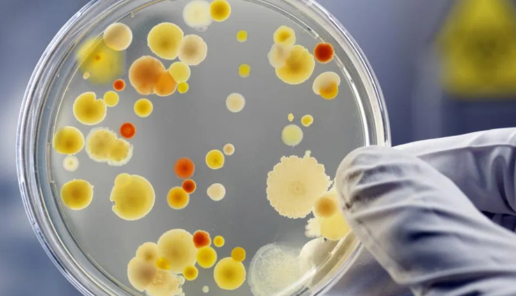 health benefits of tulsi,20 tulsi health benefits,tulsi benefits for wellness,tulsi herbal remedies,tulsi leaves for health,ayurvedic benefits of tulsi,holy basil health benefits,discovering tulsi health advantages,tulsi in ayurveda: a health elixir,herbal remedies: exploring tulsi healing powers,tulsi role in holistic wellness,understanding the 20 health benefits of tulsi