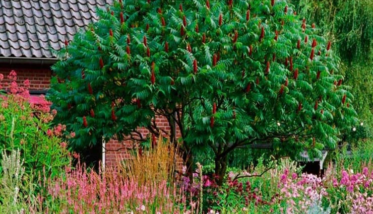 vastu tips in hindi,vastu tips of home,obstacle of success