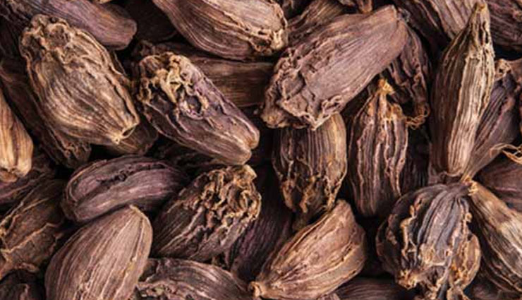 फायदों का भंडार काली इलायची, इस तरह रखती है आपकी सेहत का ख्याल