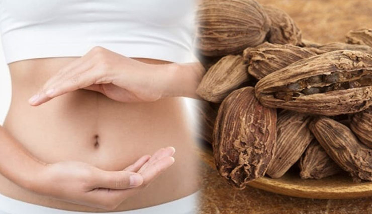 keeps heart healthy,health benefits of cardamom,elaichi ke fayde,black cardamom,Health tips,health care tips