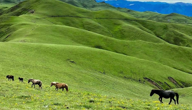 valleys to visit in nepal,best valleys in nepal,nepal travel destinations,scenic valleys in nepal,top valleys to explore in nepal,must-visit valleys in nepal,nepal nature tourism,himalayan valleys in nepal