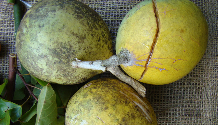 diverticulitis,home remedies to treat diverticulitis,diverticulitis home treatment,Health,Health tips