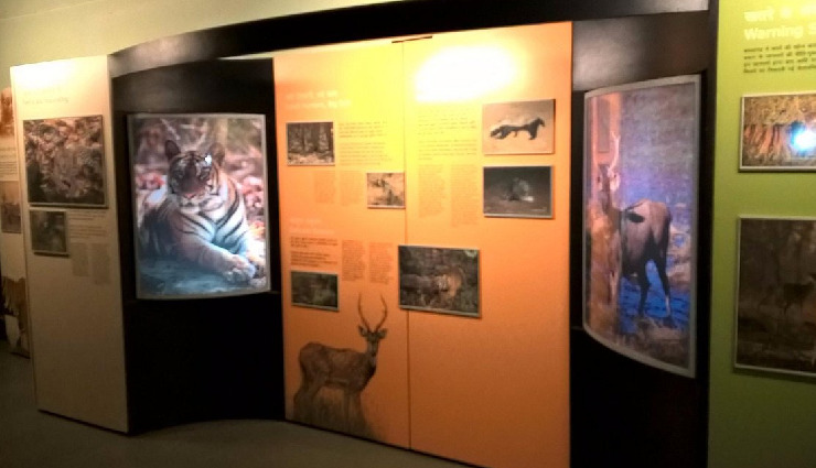 bandhavgarh national park,places to visit near bandhavgarh,bandhavgarh attractions,nearby tourist spots,jabalpur marble rocks,dhuandhar falls,fossil national park ghughua,baghel museum,bamera dam,bandhavgarh fort,mahaman pond,shesh shaiya,tala village,bhimbetka rock shelters,madhya pradesh travel