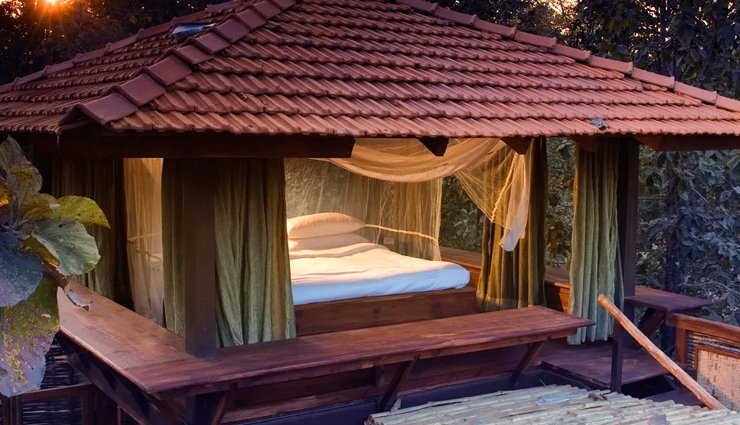 luxury jungle lodges in india,exotic wilderness experiences,super luxurious jungle retreats,premium wildlife lodgings,high-end jungle accommodations,india luxury eco lodges,exclusive jungle getaways,opulent forest lodges,top-tier exotic stays,ultra-luxurious indian jungle escapes