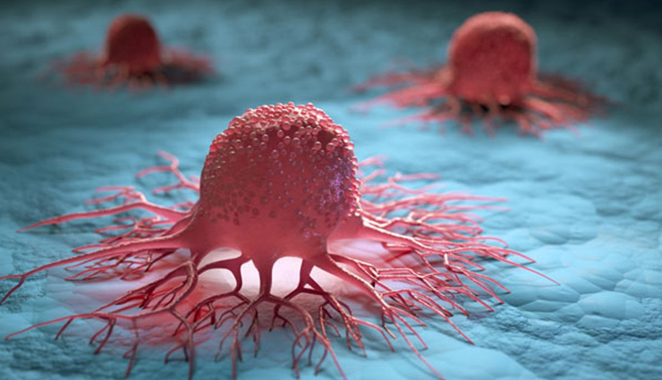 bajra flour health benefits,benefits of using bajra flour,health advantages of bajra flour,bajra atta nutritional benefits,bajra flour nutrition facts,bajra atta advantages,bajra flour for health,bajra flour nutrients,bajra flour health perks,bajra flour nutritional value,bajra atta health effects,bajra flour positive impacts,bajra flour dietary benefits,bajra flour health properties