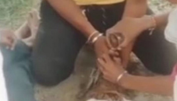 आगरा: बकरी को शराब पिलाने का वीडियो वायरल, एक गिरफ्तार 3 की तलाश में पुलिस