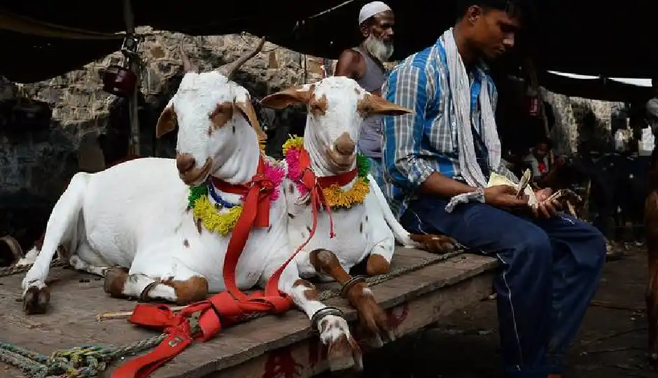 पश्चिम बंगाल में बकरीद से पहले बड़ा प्रशासनिक फैसला, बकरे की कुर्बानी पर सख्ती, पशु वध को लेकर नए नियम लागू