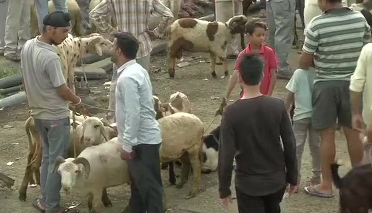 jammu kashmir,indian army,modi government,article 370,bakra-eid,article 370 news in hindi,jammu kashmir news in hindi,bakra eid news in hindi,bakrid,news,news in hindi