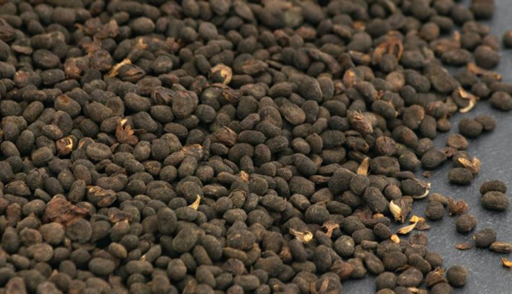 त्वचा को चमकदार बनाने का काम करेंगे ये तेल, रोजाना करें इनका इस्तेमाल tips to make your skin glow with the help of these oil,beauty tips,beauty hacks