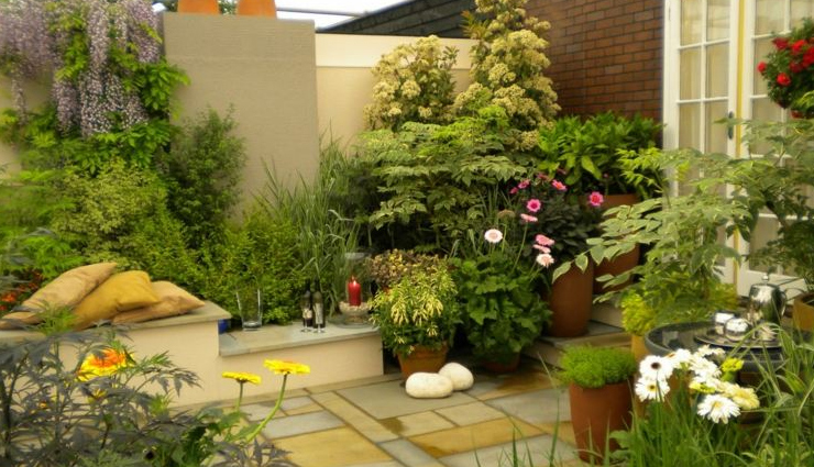 ways to own balcony garden,balcony garden tips,lockdown tips,garden tips