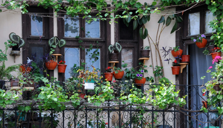ways to own balcony garden,balcony garden tips,lockdown tips,garden tips