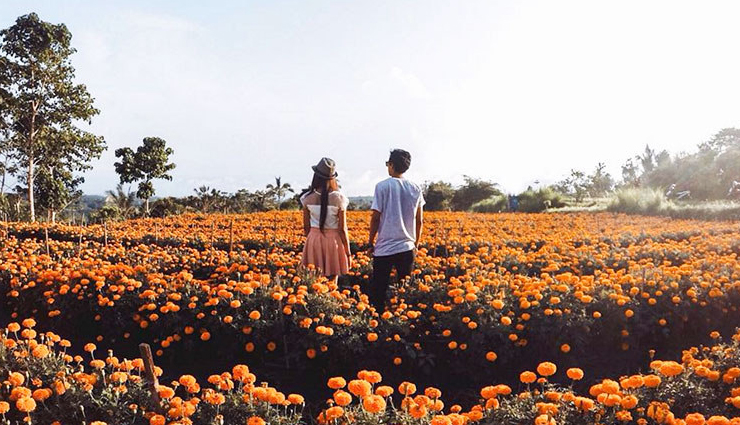 bali,things to do in bali,places to visit in bali,tukad cepung waterfall,marigold fields at desa temukus,mount batur at pinggan village,canyon of sukawati,nusa islands