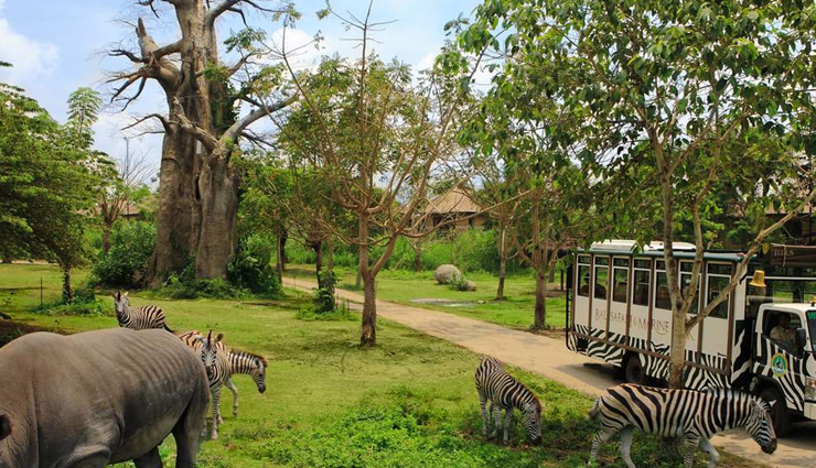 bali travel guide,bali tourist attractions,explore bali,bali beaches,coral reefs in bali,ancient temples in bali,adventure in bali,relaxation in bali,spiritual renewal in bali,affordable bali vacations,diversity of bali,bali for families,romantic getaways in bali,solo adventures in bali,wellness retreats in bali,yoga retreats in bali,meditation retreats in bali,bali nature experiences,tranquil bali surroundings,bali memories