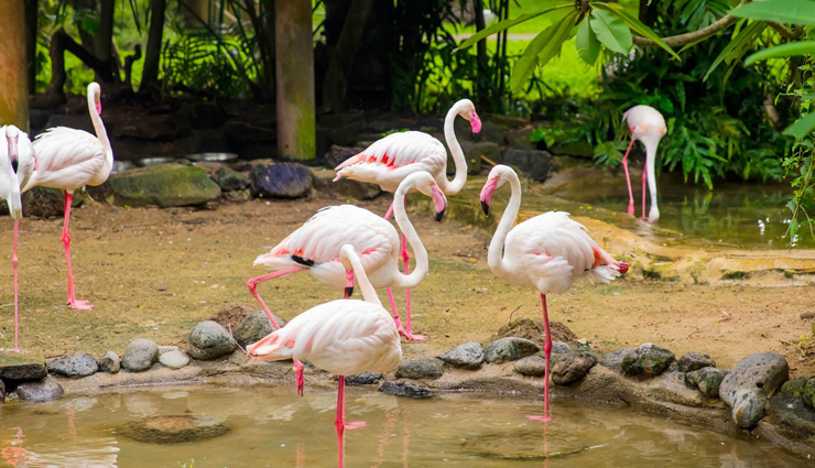 bali travel guide,bali tourist attractions,explore bali,bali beaches,coral reefs in bali,ancient temples in bali,adventure in bali,relaxation in bali,spiritual renewal in bali,affordable bali vacations,diversity of bali,bali for families,romantic getaways in bali,solo adventures in bali,wellness retreats in bali,yoga retreats in bali,meditation retreats in bali,bali nature experiences,tranquil bali surroundings,bali memories