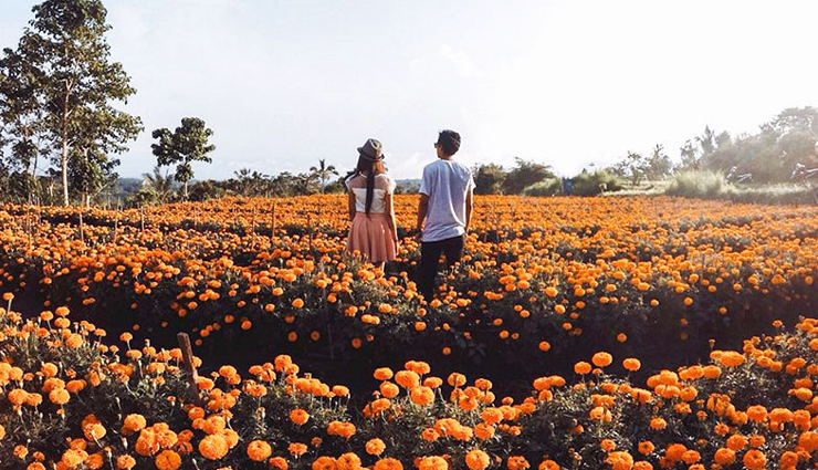 spectacular experiences to have in bali,holiday,travel,tourism