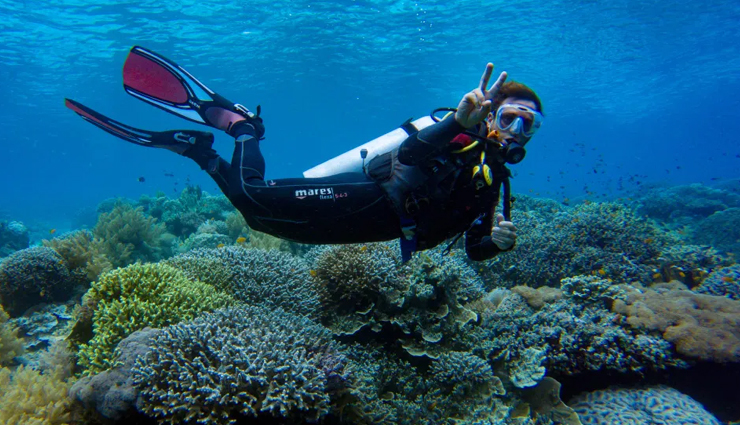 southeast asia,diving in southeast asia,amazing places to try diving in southeast asia,raja ampat,indonesia,tubbataha reef,philippines,pulau sipadan,malaysia,surin islands,thailand,bunaken,indonesia,coron,philippines,wakatobi islands,indonesia,koh tao,komodo national park,travel.holidays,travel guide