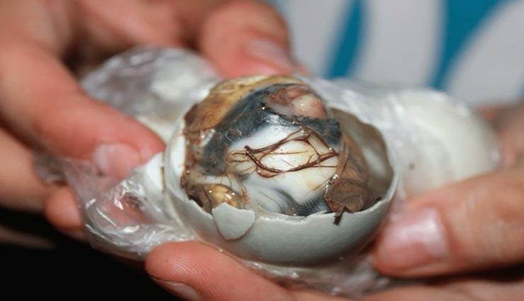 weird news,weird dishes,weird food