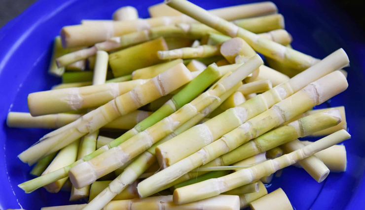 5 Reasons Why Eating Bamboo Shoots is Healthy for Children