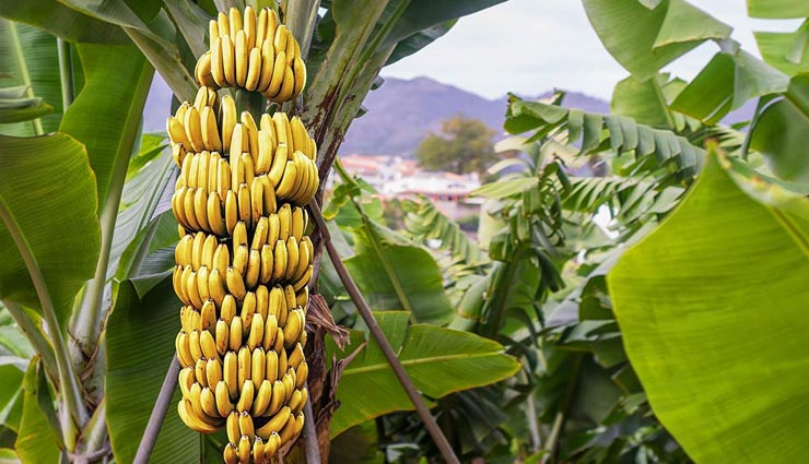 navratri special,navratri,maa durga,chaitra navratri festival 2018
