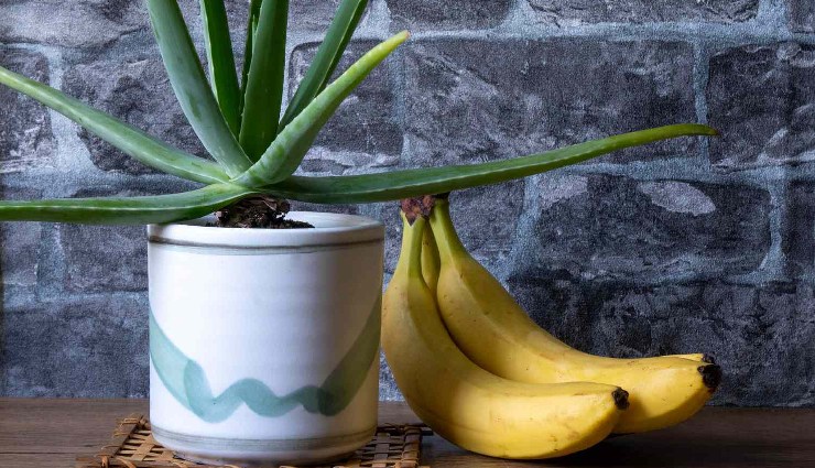 banana for skin,banana face mask,banana skincare benefits,natural skincare,diy banana remedies,glowing skin tips,anti-aging natural remedies,banana for acne,banana moisturizer,skincare for dry skin,banana scrub,banana for dark spots,banana home remedies