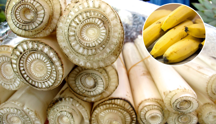 क्या आपने कभी किया हैं केले के तने का सेवन, सेहत को मिलते हैं ये 6 तरह के फायदे