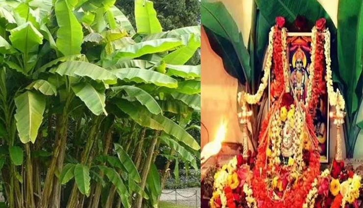 astrology tips,astrology tips in hindi,thrusday remedies,lord vishnu,brihaspati grah