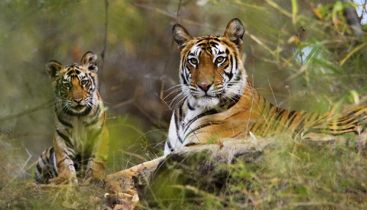 north india,north india tourism,tourist places in north india,north and south region,travel,tourism