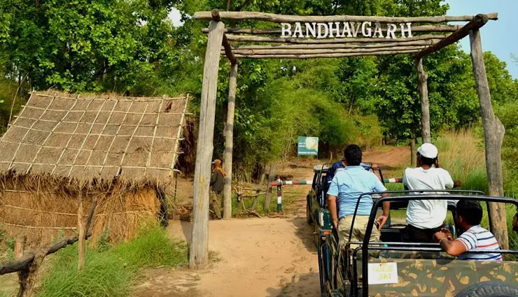 bengal tiger population in india,project tiger success,tiger reserves in india,top tiger reserves,best places to see tigers in india,tiger conservation india,national tiger conservation authority,tiger safari india,wildlife tourism in india,tiger protection efforts