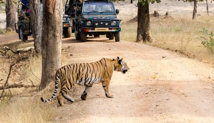 national parks of the country to see extinct animals,holidays,travel,tourism