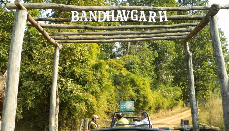 places to spot tigers,spotting tigers around the world,best tiger safari destinations,tiger-watching locations globally,top spots to see tigers in the wild,where to find tigers in the world,tiger sighting hotspots,best tiger habitats for wildlife enthusiasts,famous tiger reserves around the globe,exciting tiger-spotting locations worldwide