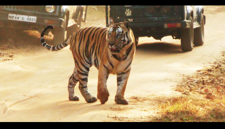 wildlife sanctuaries in india,wildlife sanctuaries to visit in winters,winter holidays destinations,winter holidays