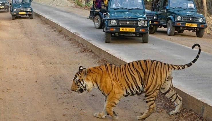 madhya pradesh,tourist spots in madhya pradesh,madhya pradesh tourism,holidays,khajuraho temples,kanha national park,omkareshwar temple,gwalior,ujjain,bandhavgarh national park,orchha,mandu,indore,sanchi,travel,travel guide