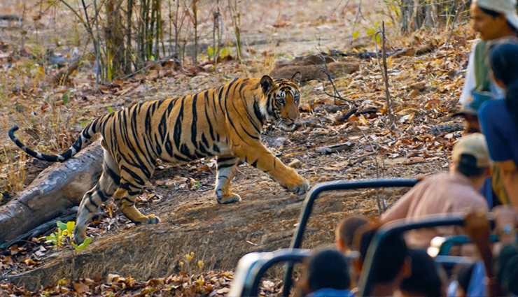 natural wonders,natural wonders in india,india tourism,tourist places in india,india travel,holidays,travel guide