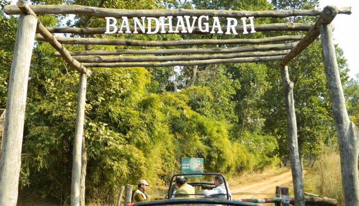 वाइल्डलाइफ फोटोग्राफर्स के लिए किसी जन्नत से कम नहीं है भारत की ये 10 जगहें, विदेशों से भी आते है लोग wildlife photography in india,best places for wildlife photography,wildlife photography destinations in india,top wildlife photography spots in india,wildlife photography tips,indian wildlife photography hotspots,wildlife sanctuaries in india,national parks for photography in india,wildlife photography tours in india,indian wildlife photography guide,best locations for wildlife photography in india,wildlife photography in western ghats,tiger photography in india,bird photography in india