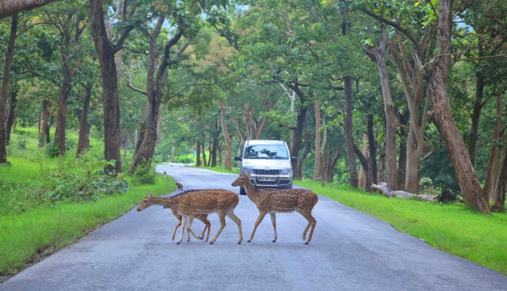 Road trip,road trip india,best places for road trip in india,india travel,tourism,tourist places in india,holidays,travel guide