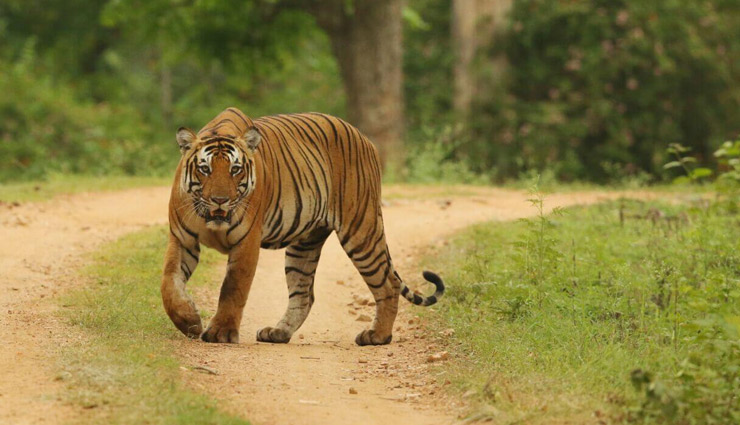 monsoon places,national parks in india,holidays,travel