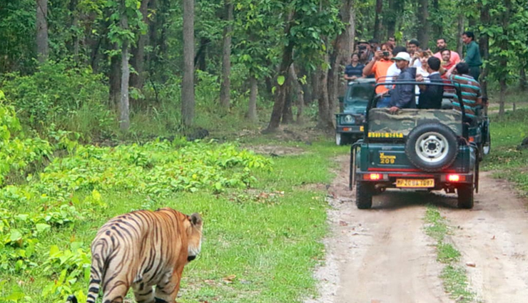 प्राकृतिक सुंदरता और विरासत के लिए जाना जाता हैं कर्नाटक, ये 10 जगहें देती हैं पर्यटन का मजा
tourist attractions in karnataka,best places to visit in karnataka,karnataka tourism,historical sites in karnataka,natural wonders in karnataka,tourist destinations in karnataka,heritage sites in karnataka,famous landmarks in karnataka,cultural attractions in karnataka,top tourist spots in karnataka,karnataka sightseeing,popular places in karnataka,karnataka travel guide,hidden gems in karnataka,karnataka vacation spots